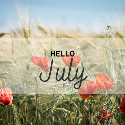Der Garten im Juli