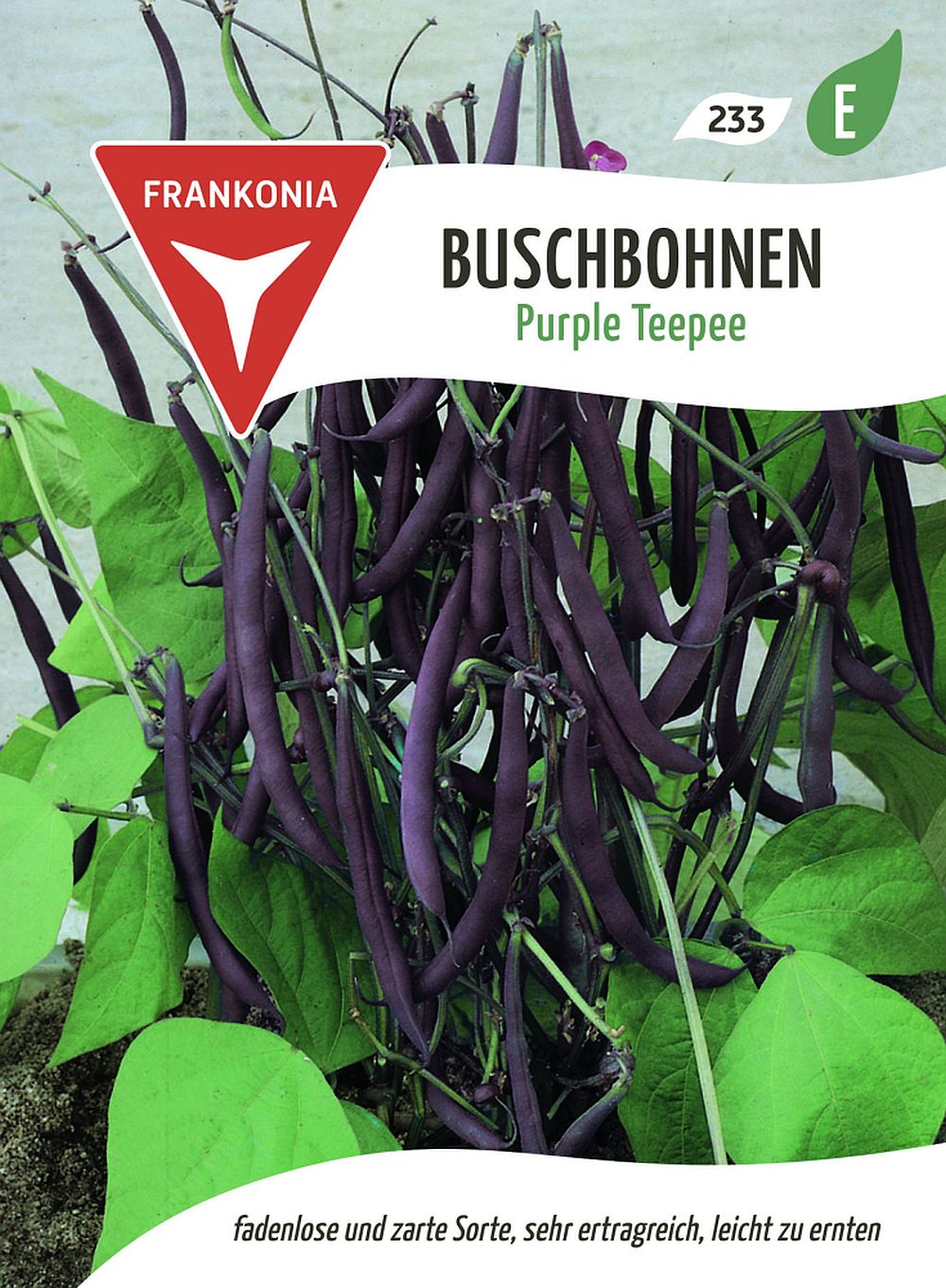 Vorderseite der Verpackung des Saatgutes Buschbohne, Purple Teepee der Firma Frankonia Samen von ihrgartenberater.de