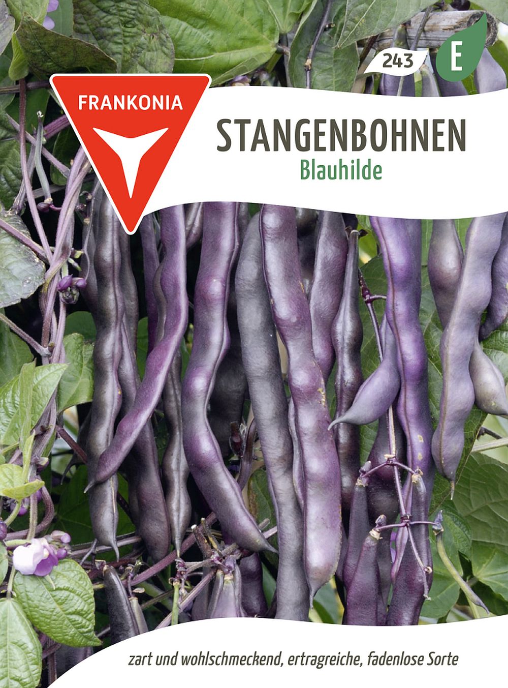 Vorderseite der Verpackung des Saatgutes Stangenbohne, Blauhilde der Firma Frankonia Samen von ihrgartenberater.de
