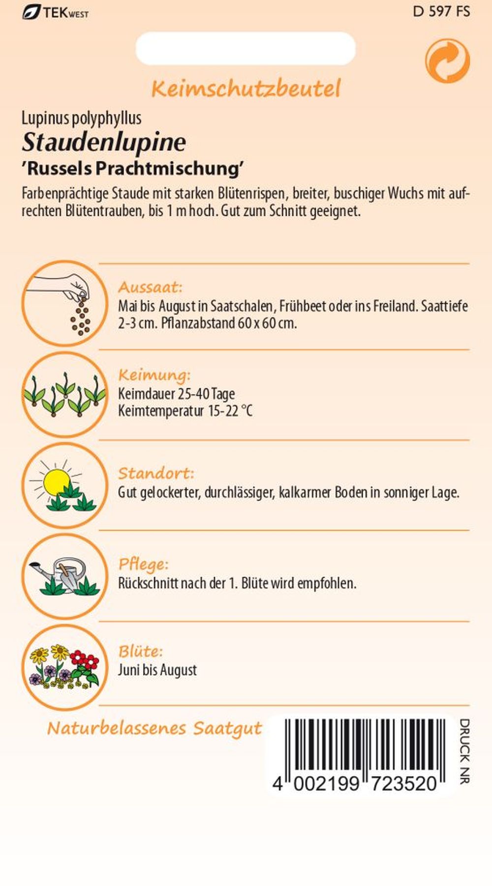 Rückseite der Verpackung des Saatgutes Staudenlupine, Russels Prachtmischung der Firma Samen Pfann von ihrgartenberater.de