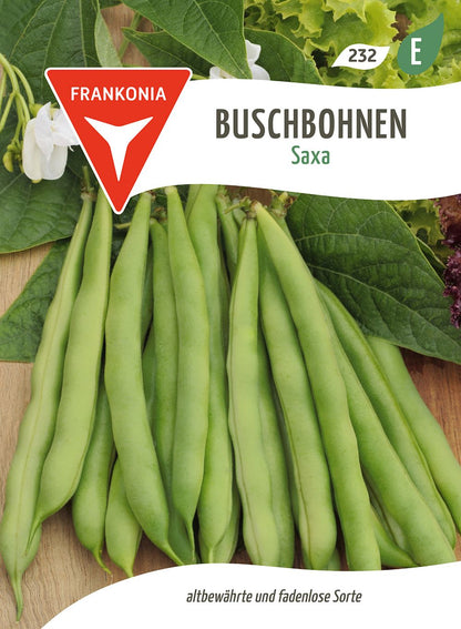 Vorderseite der Verpackung des Saatgutes Buschbohne, Saxa der Firma Frankonia Samen von ihrgartenberater.de