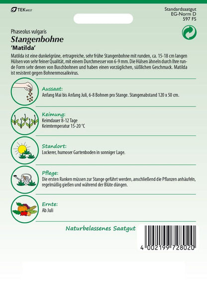 Rückseite der Verpackung des Saatgutes Stangenbohne, Matilda der Firma Samen Pfann von ihrgartenberater.de