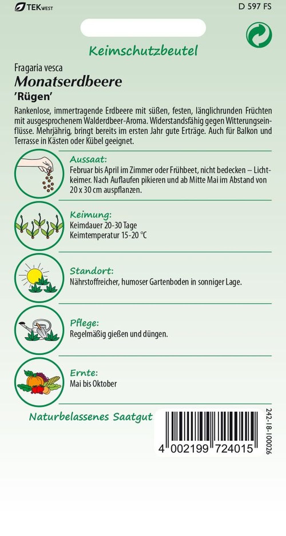 Rückseite der Verpackung des Saatgutes Monatserdbeere der Firma Samen Pfann von ihrgartenberater.de