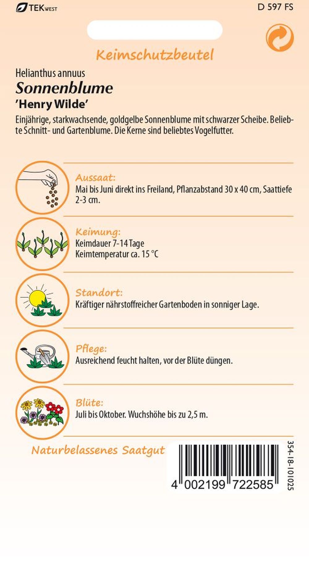 Rückseite der Verpackung des Saatgutes Sonnenblume, Henry Wilde der Firma Samen Pfann von ihrgartenberater.de