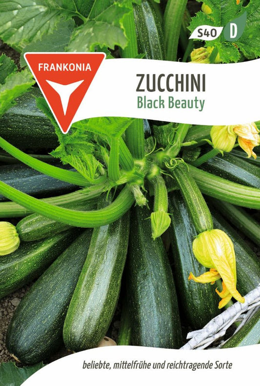 Vorderseite der Verpackung des Saatgutes Zucchini, Black Beauty der Firma Frankonia Samen von ihrgartenberater.de