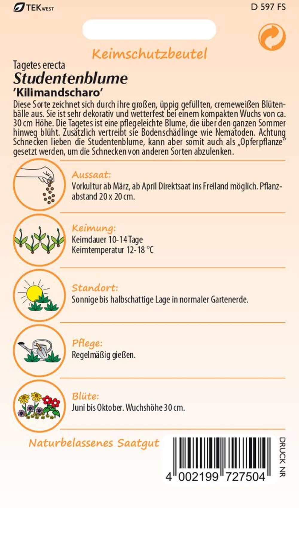 Rückseite der Verpackung des Saatgutes Tagetes, Kilimandscharo der Firma Samen Pfann von ihrgartenberater.de