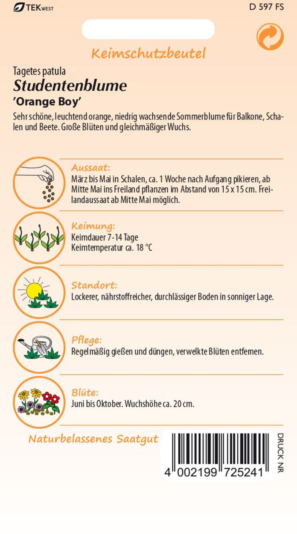 Rückseite der Verpackung des Saatgutes Tagetes, Orange Boy der Firma Samen Pfann von ihrgartenberater.de
