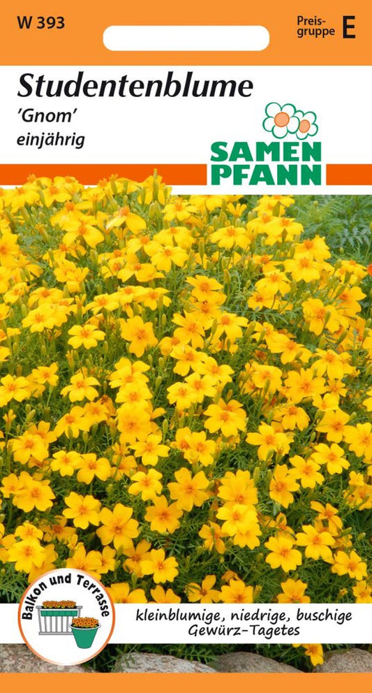 Vorderseite der Verpackung des Saatgutes Tagetes, Gnom der Firma Samen Pfann von ihrgartenberater.de