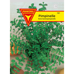 Pimpinelle