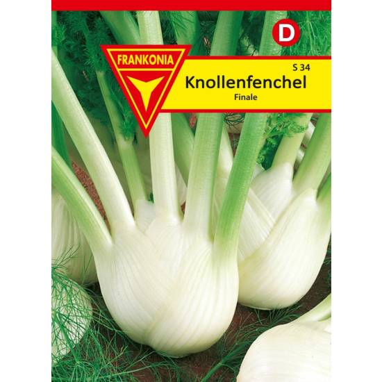 Knollenfenchel, Finale