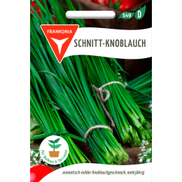 Schnitt - Knoblauch