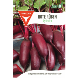 Rote R&uuml;be, Cylindra