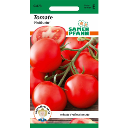 Tomate, Hellfrucht