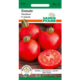 Tomate, Harzfeuer F1