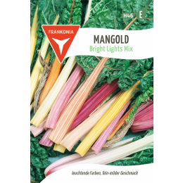 Mangold, Brights Lights Mix