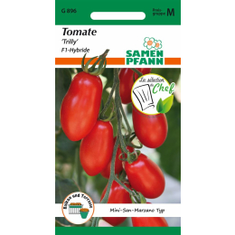 Tomate, Trilly F1 (Mini-San-Marzano Typ)