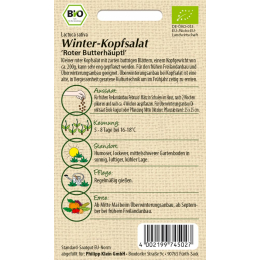 Winter-Kopfsalat Roter Butterh&auml;uptl, BIO