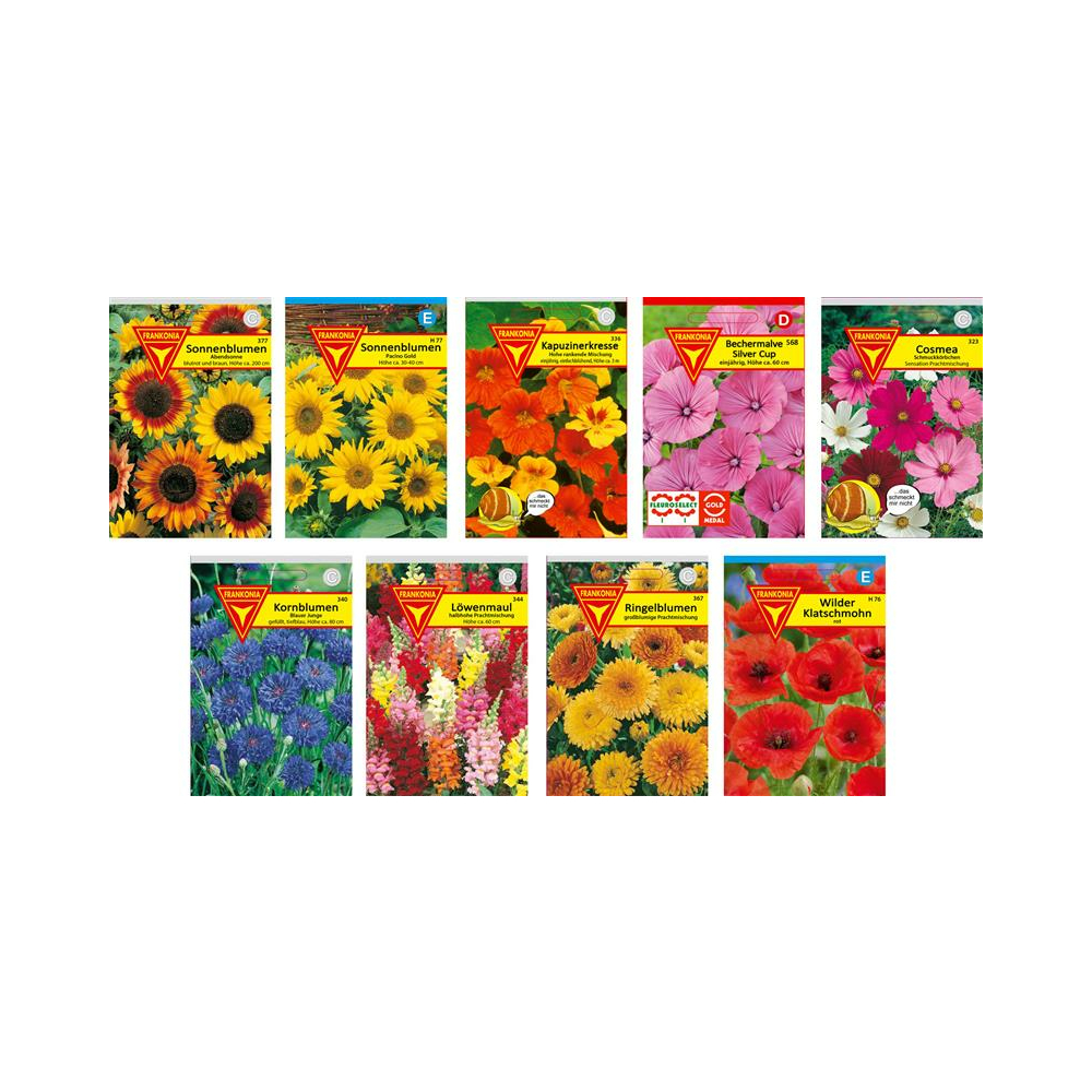 AIMADO Samen-50 Stück farbenfrohen Tulpensamen Blumensamen mehrjährig Winterhart für Ihre Garten Balkon & Terrasse 