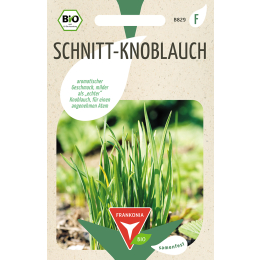 Schnitt-Knoblauch, BIO