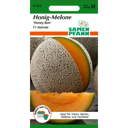 Honig-Melone, Honey Bun F1