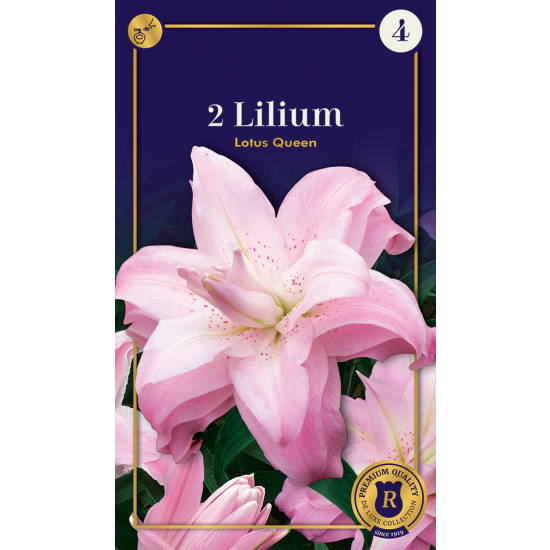 Lilie, Lotus Queen