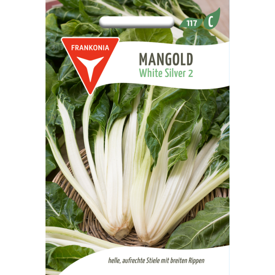 Mangold, White Silver
