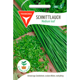 Schnittlauch, Medium leaf