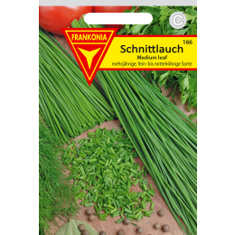 Schnittlauch, Medium leaf