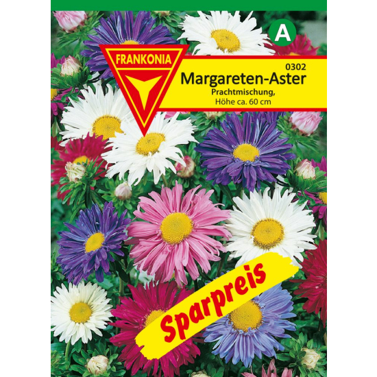 Margareten-Aster, Prachtmischung