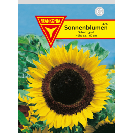 Sonnenblume, Schnittgold