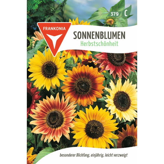 Sonnenblume, Herbstsch&ouml;nheit