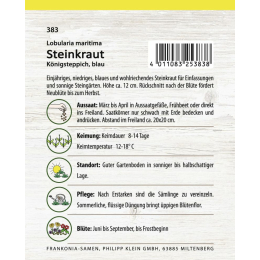 Steinkraut (Lobularia), K&ouml;nigsteppich